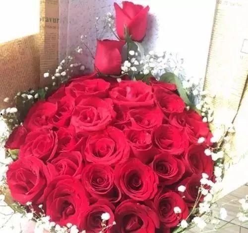 520玫瑰最新爆料,幕后故事与情感真相大曝光